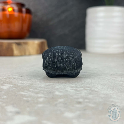 Black Obsidian Raven Skull Matte Finish Carvings