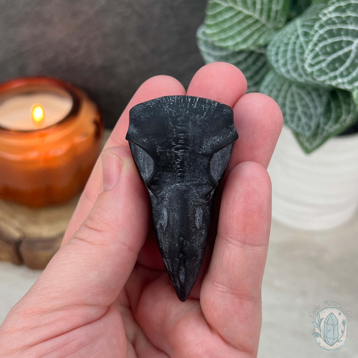 Black Obsidian Raven Skull Matte Finish Carvings