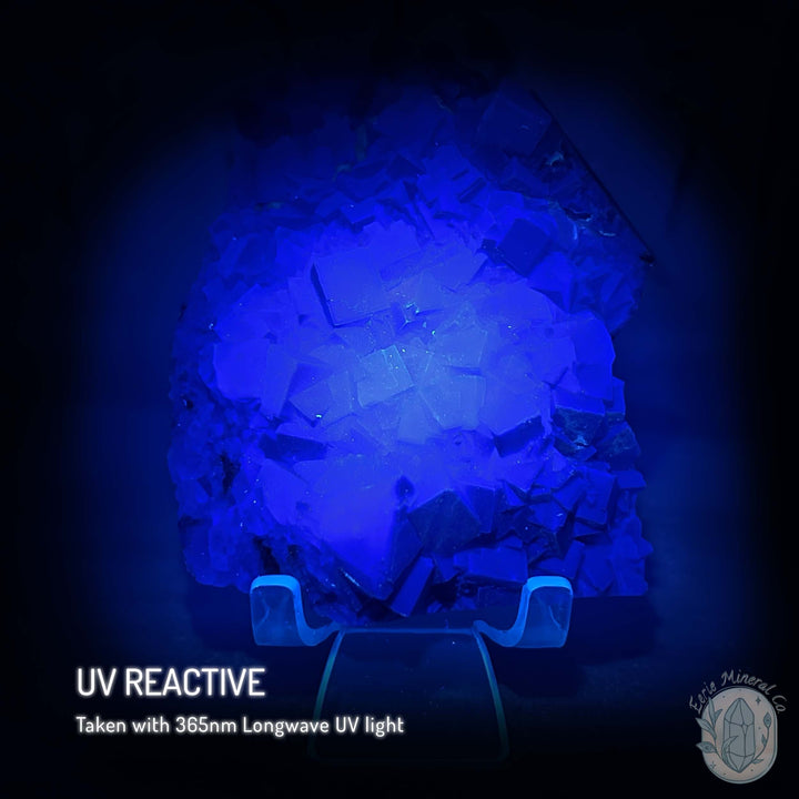 UV Reactive Blue Fluorite Specimen With Stand