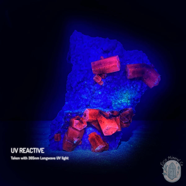 Druzy UV Reactive Columnar Calcite Specimen