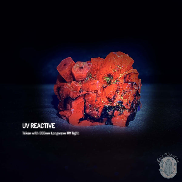 Druzy UV Reactive Columnar Calcite Cluster Specimen
