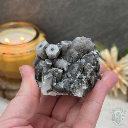 Druzy UV Reactive Columnar Calcite Cluster Specimen