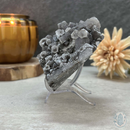 UV Reactive Druzy Columnar Calcite Cluster Specimen