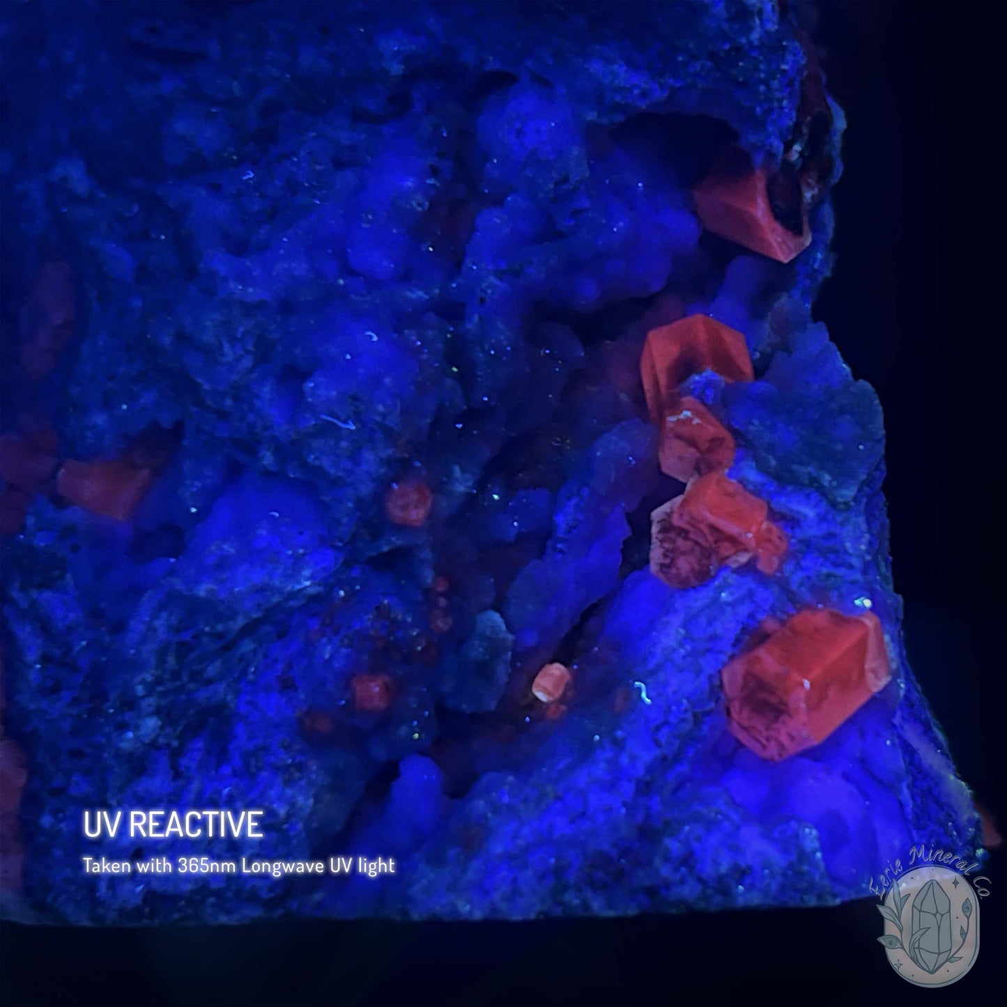 UV Reactive Columnar Calcite Cluster Specimen