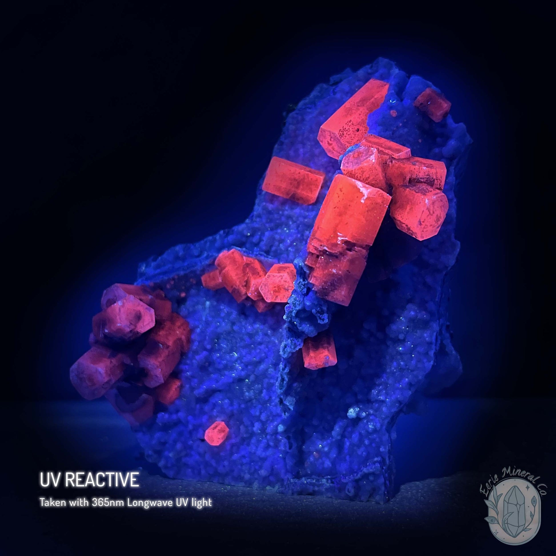 UV Reactive Druzy Columnar Calcite Cluster Specimen