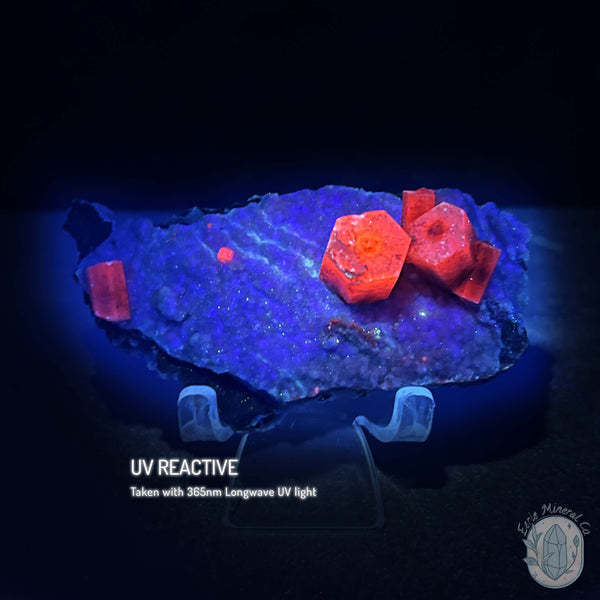 UV Reactive Columnar Calcite Cluster Specimen