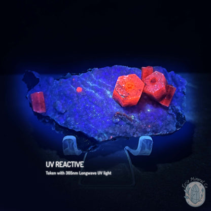 UV Reactive Columnar Calcite Cluster Specimen