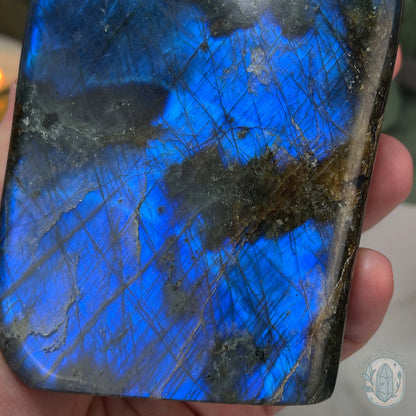 Polished Blue Flash Labradorite Freeform