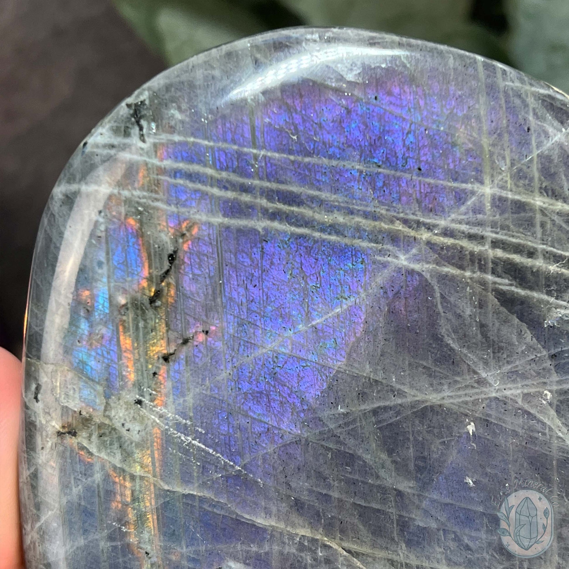 Polished Blue and Purple Flash Labradorite Freeform