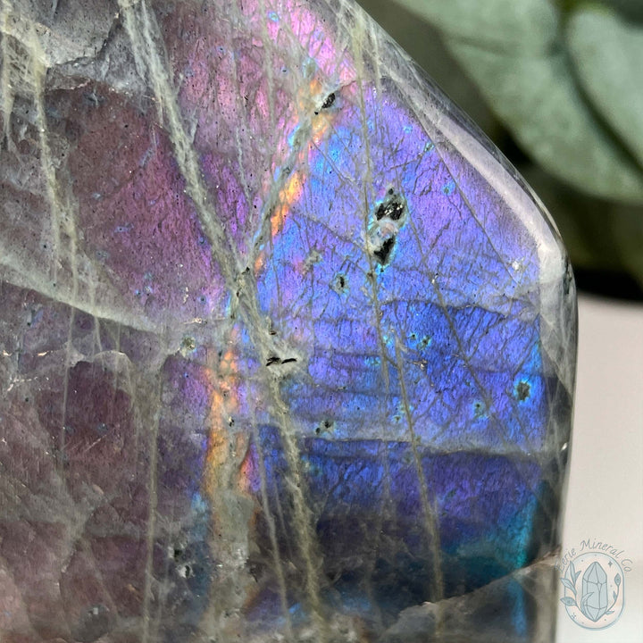 Labradorite Freeform with Purple and Blue Flash