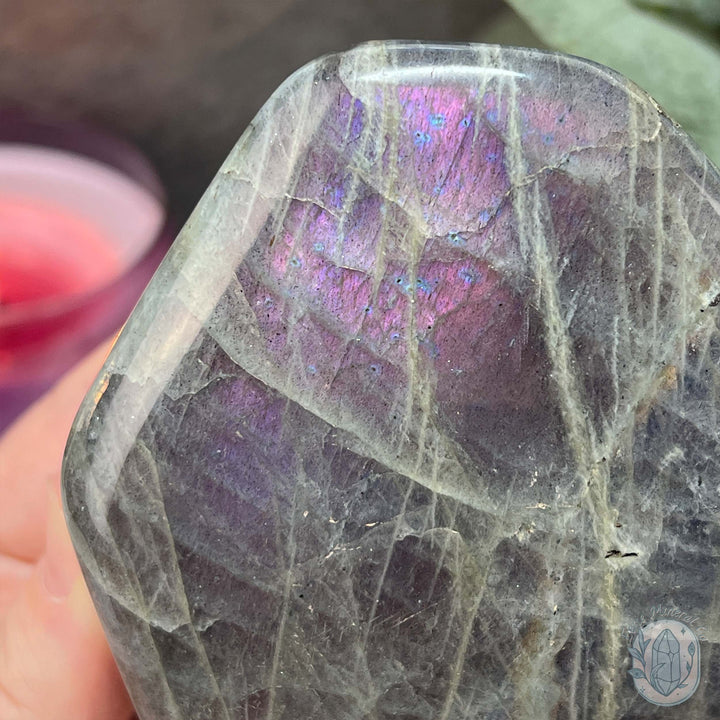 Labradorite Freeform with Purple and Blue Flash