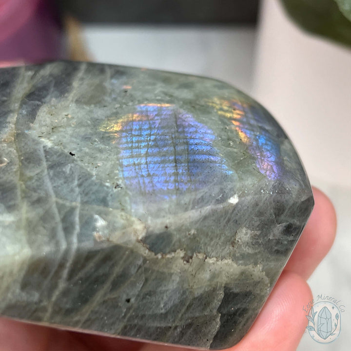 Labradorite Freeform with Purple and Blue Flash