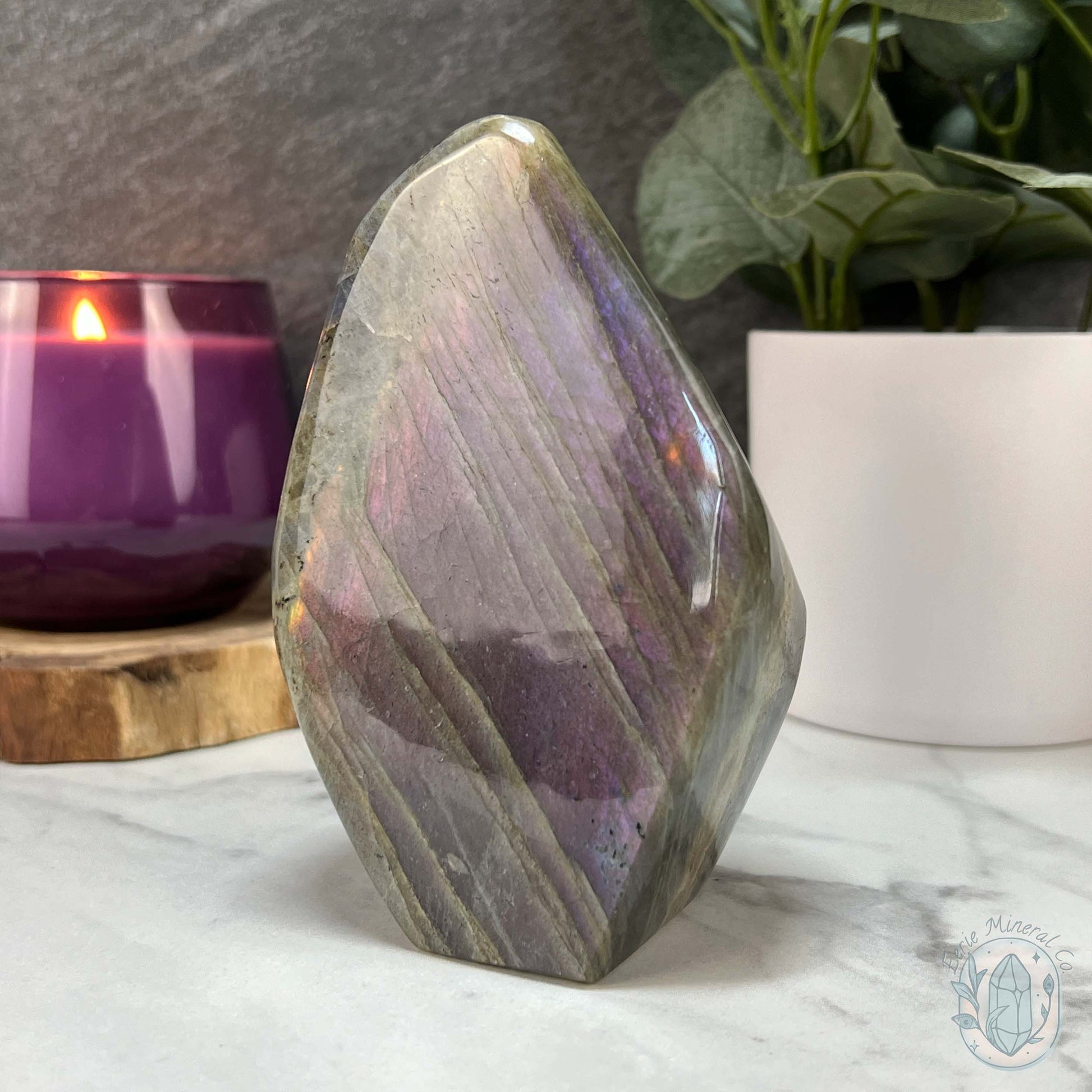Polished Labradorite Freeform with Purple Flash