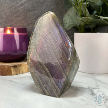 Polished Labradorite Freeform with Purple Flash