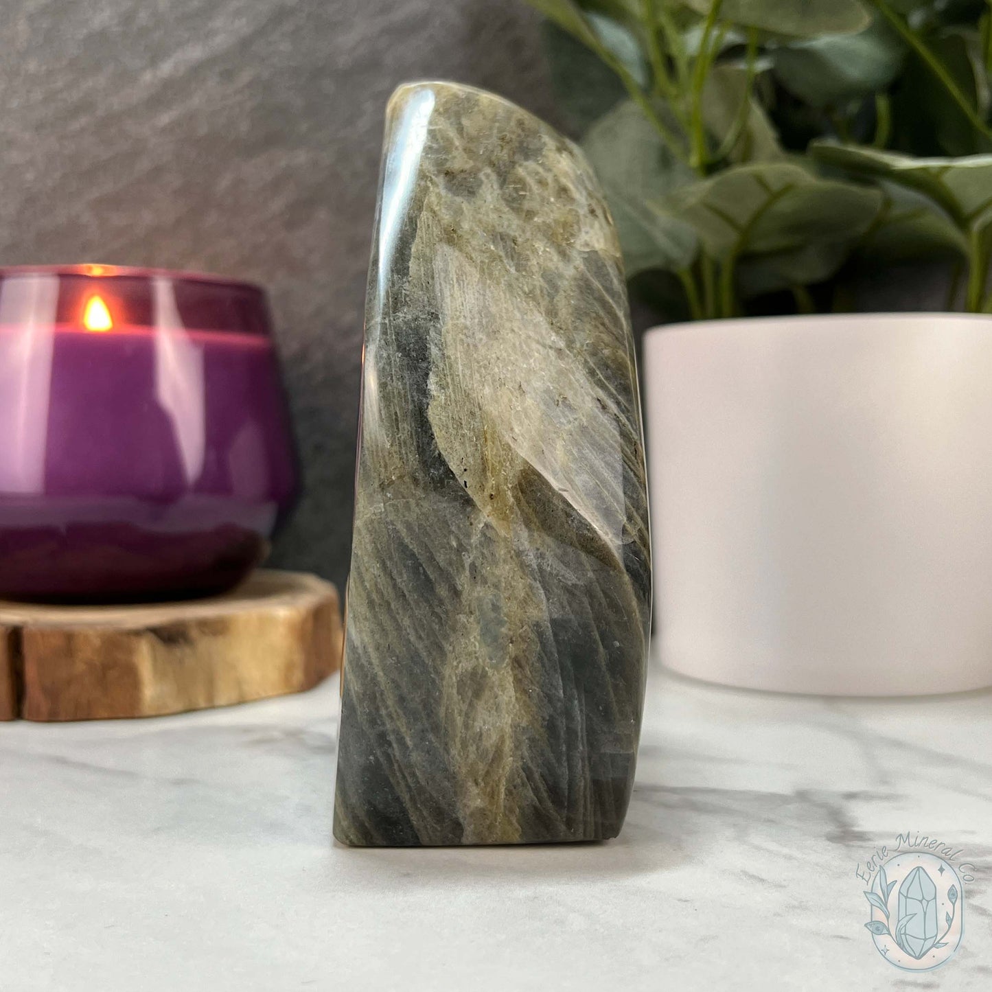 Polished Labradorite Freeform with Purple Flash