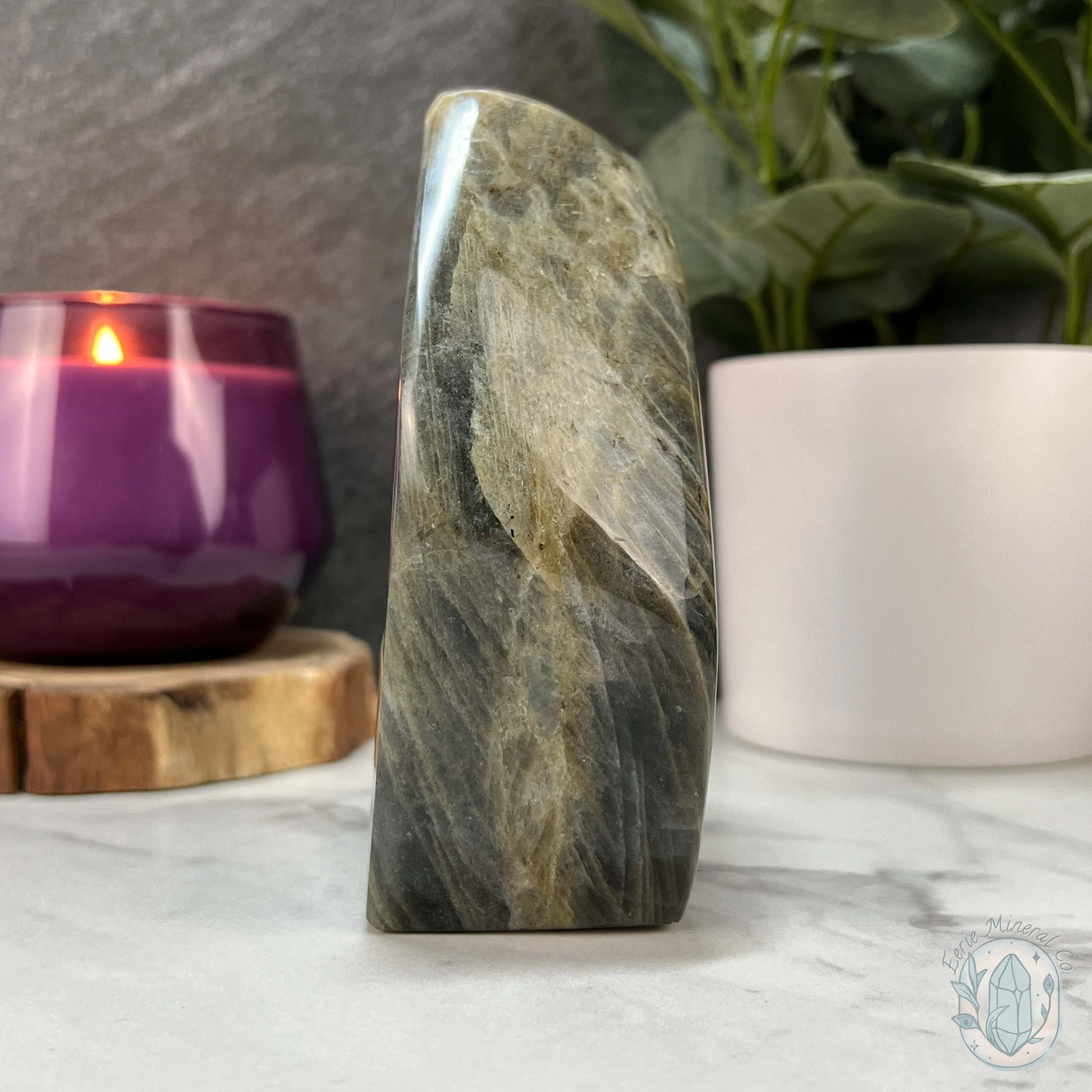 Polished Labradorite Freeform with Purple Flash