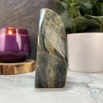 Polished Labradorite Freeform with Purple Flash