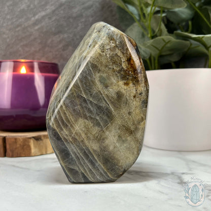 Polished Labradorite Freeform with Purple Flash