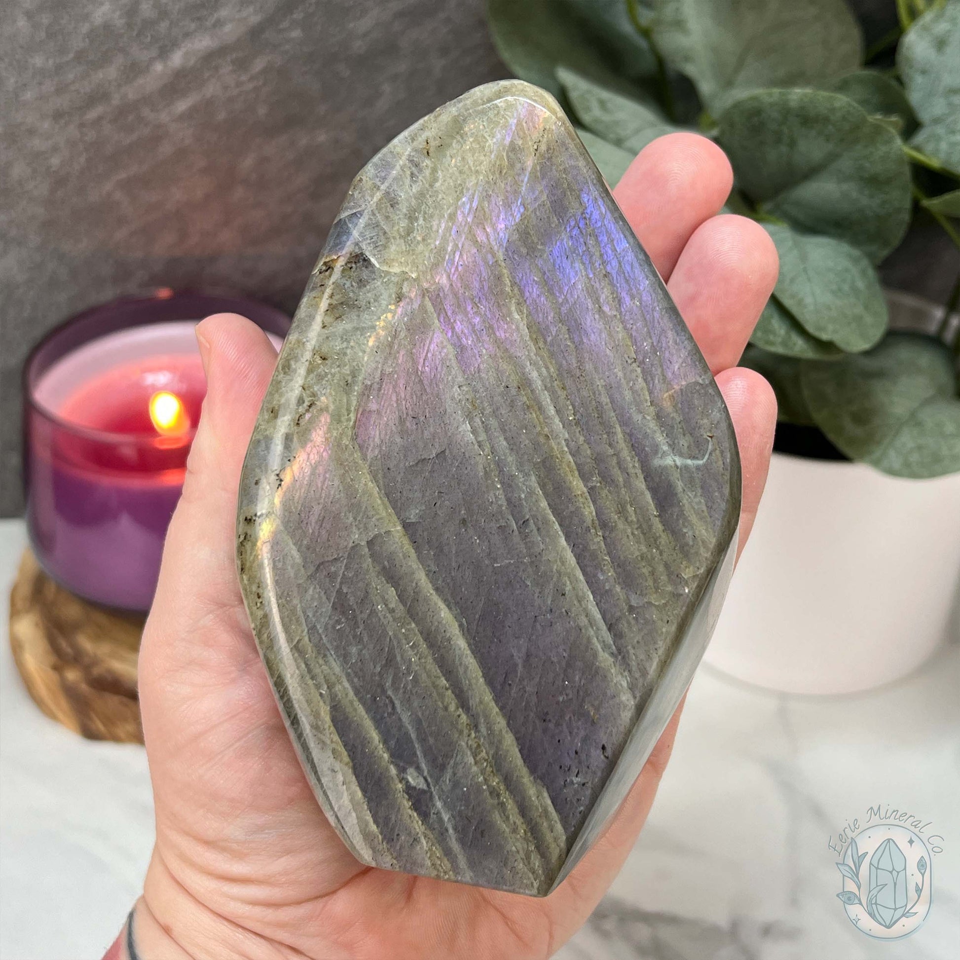 Polished Labradorite Freeform with Purple Flash