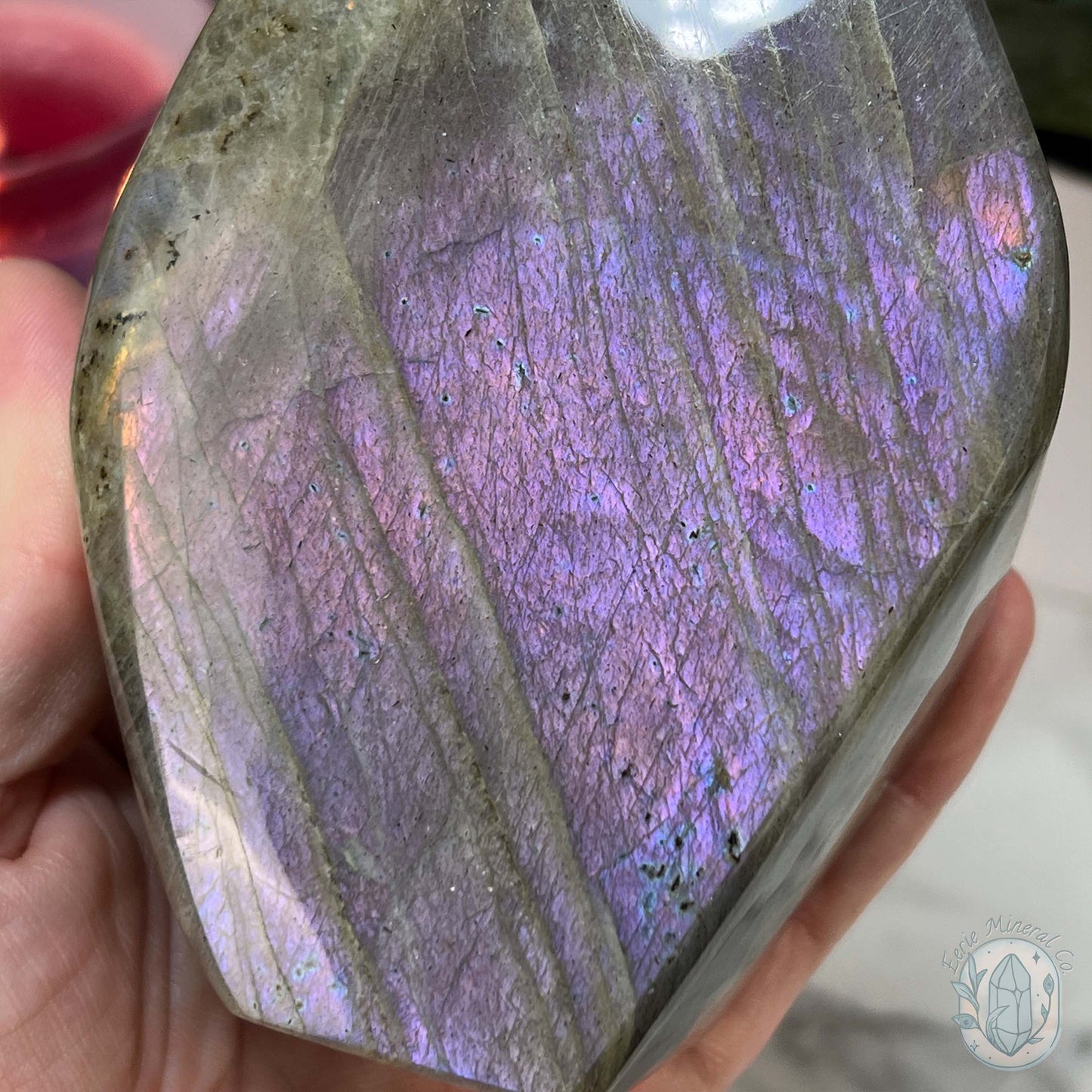 Polished Labradorite Freeform with Purple Flash