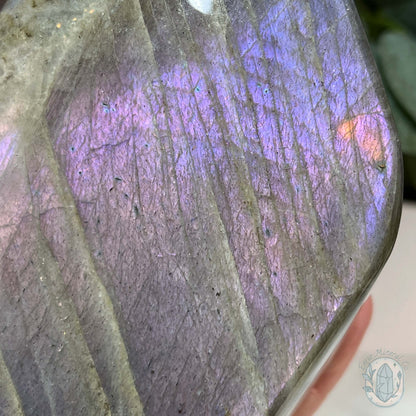 Polished Labradorite Freeform with Purple Flash