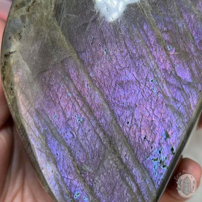 Polished Labradorite Freeform with Purple Flash