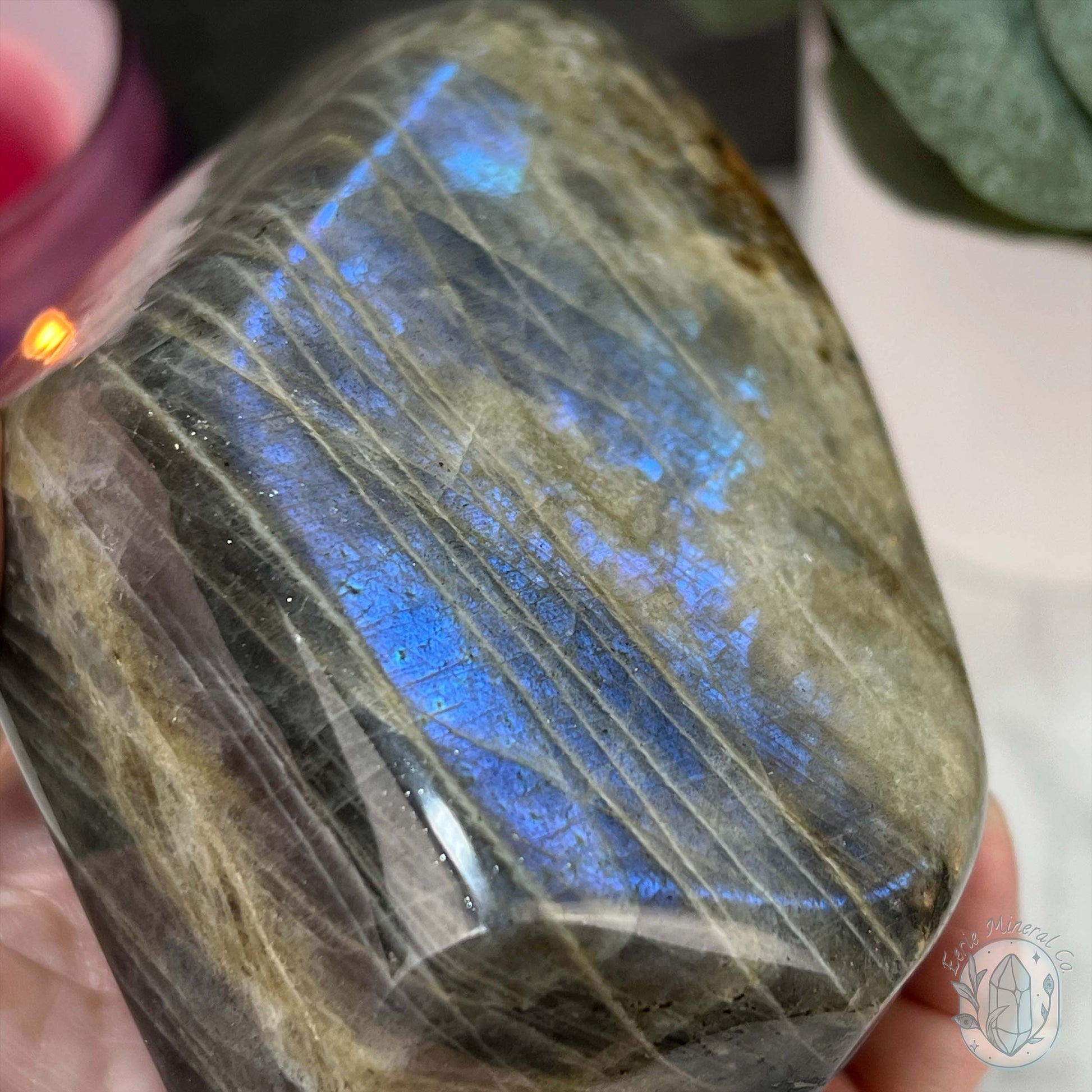 Polished Labradorite Freeform with Purple Flash