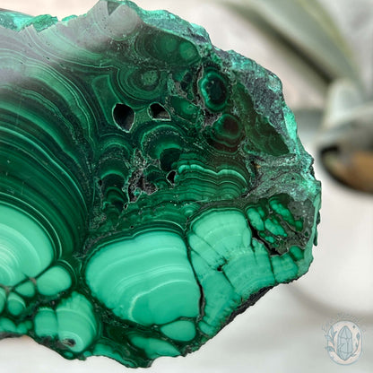 High Quality Polished Malachite Slab with Display Stand