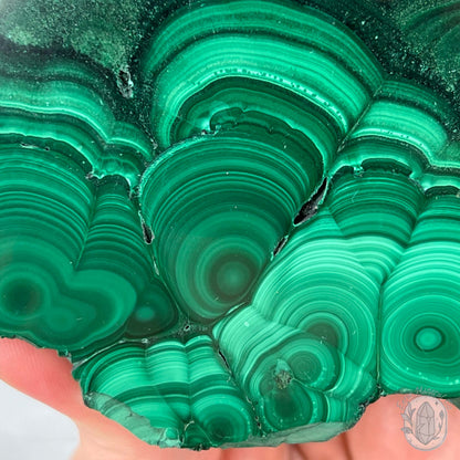 High Quality Polished Malachite Slab with Display Stand