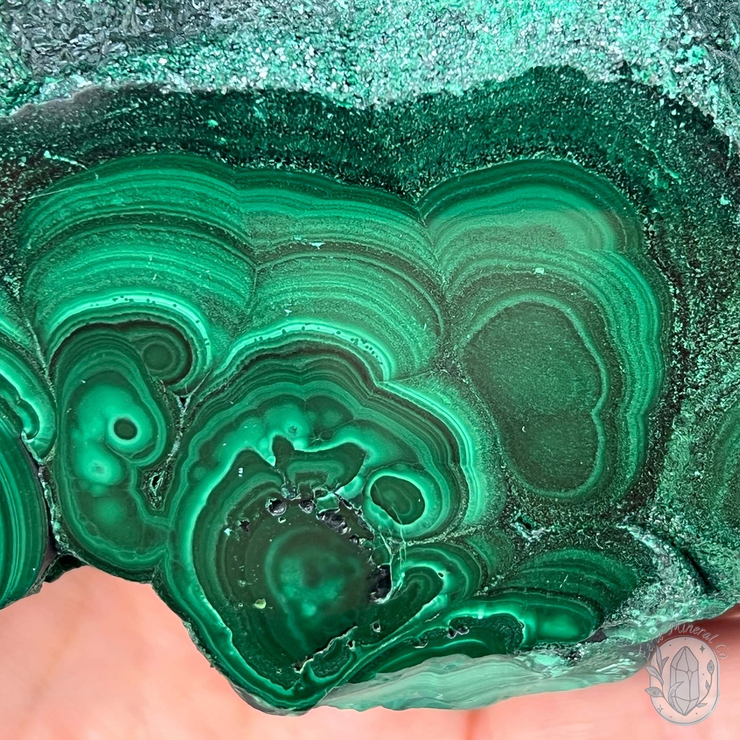 High Quality Polished Malachite Slab with Display Stand