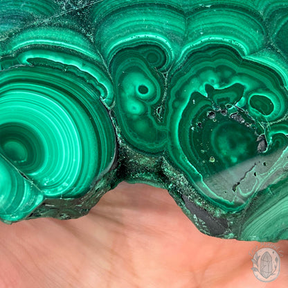 High Quality Polished Malachite Slab with Display Stand