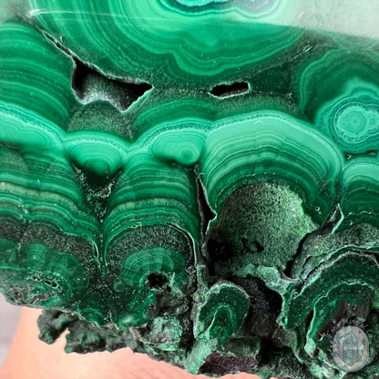 High Quality Polished Malachite Slab with Display Stand