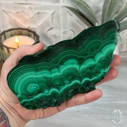 High Quality Polished Malachite Slab with Display Stand
