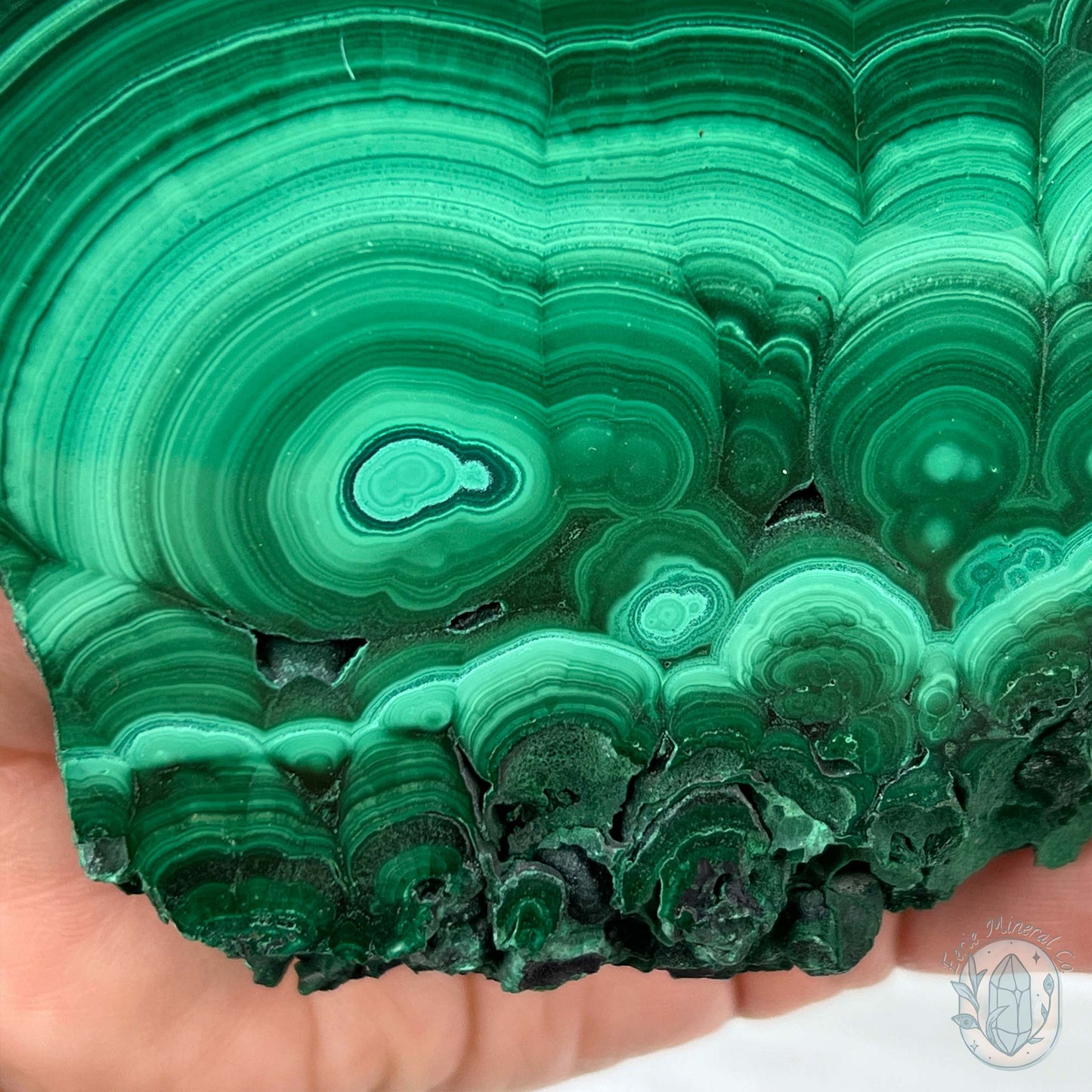 High Quality Polished Malachite Slab with Display Stand