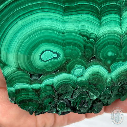 High Quality Polished Malachite Slab with Display Stand