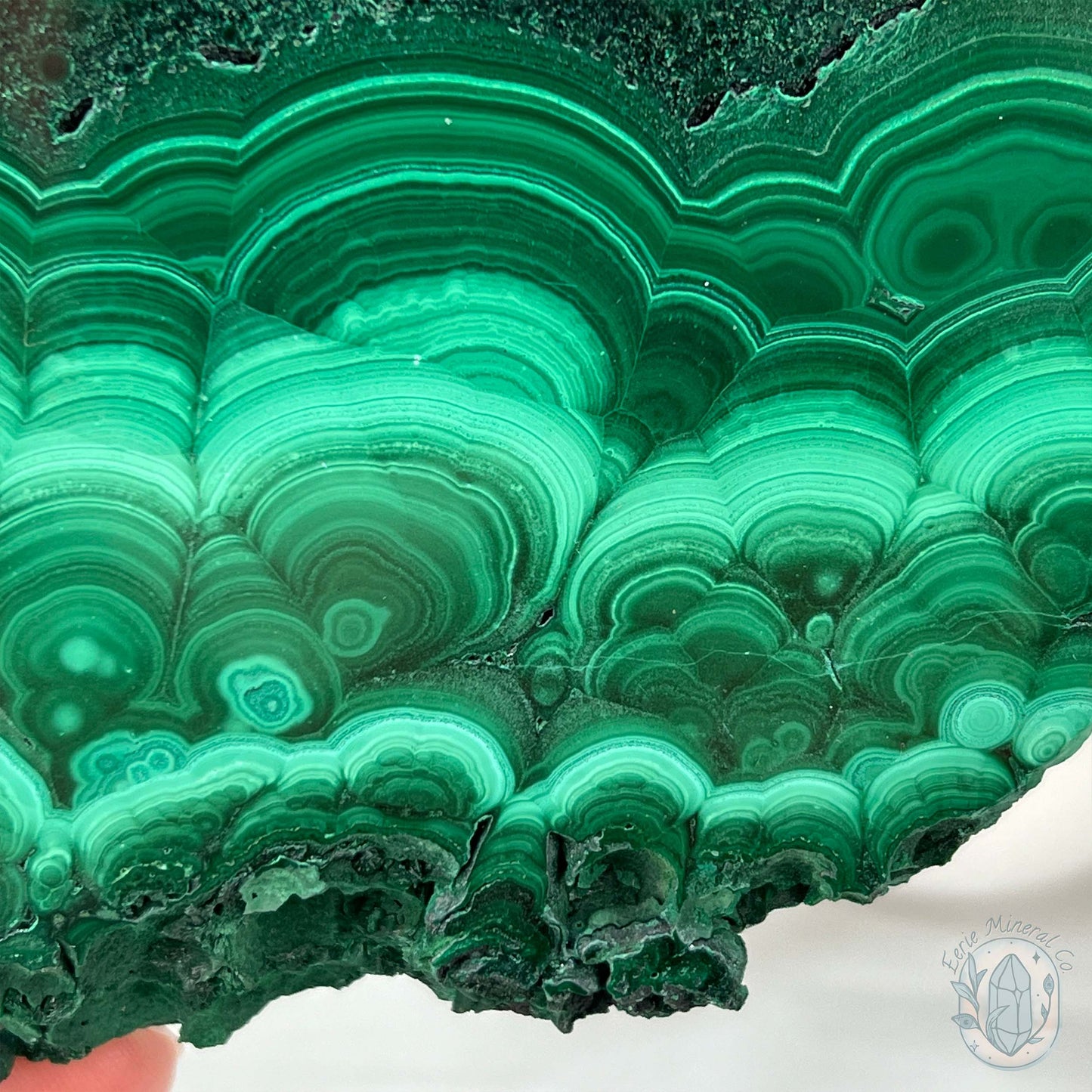 High Quality Polished Malachite Slab with Display Stand