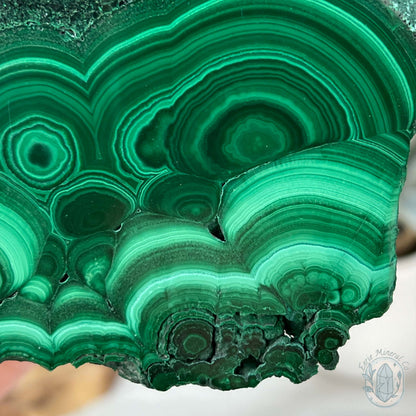 High Quality Polished Malachite Slab with Display Stand