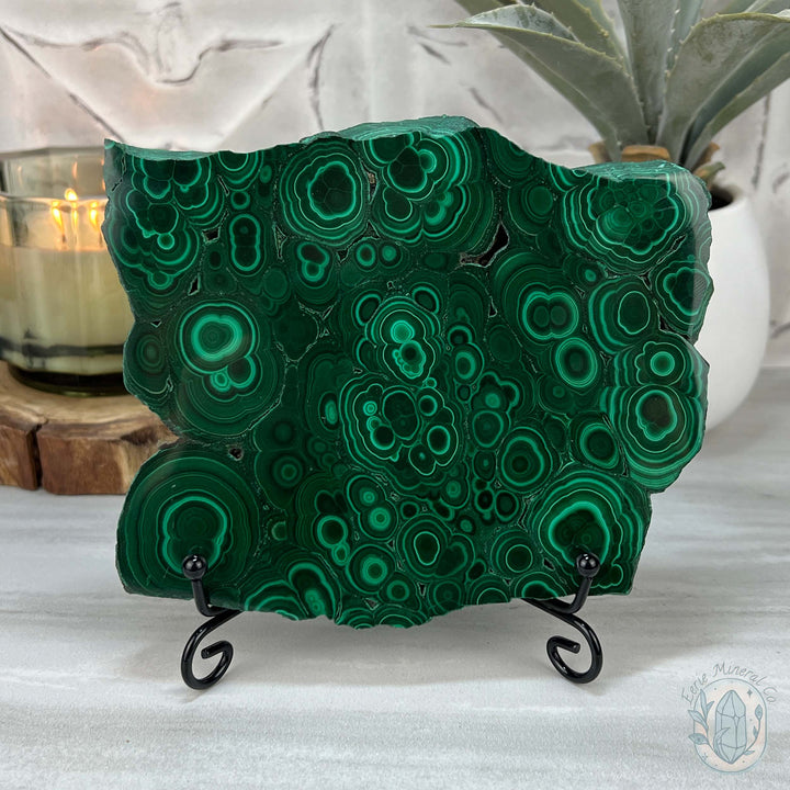 Polished Raw Malachite Slab with Display Stand