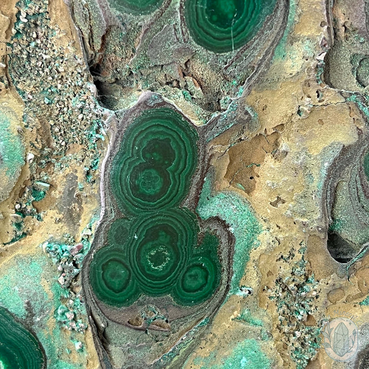 Polished Raw Malachite Slab with Display Stand