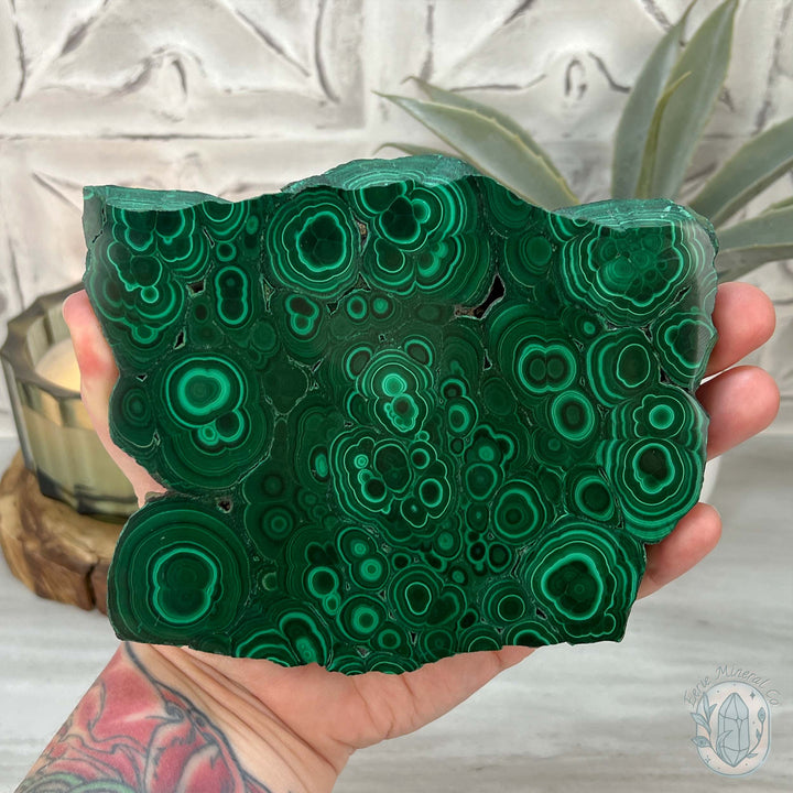 Polished Raw Malachite Slab with Display Stand