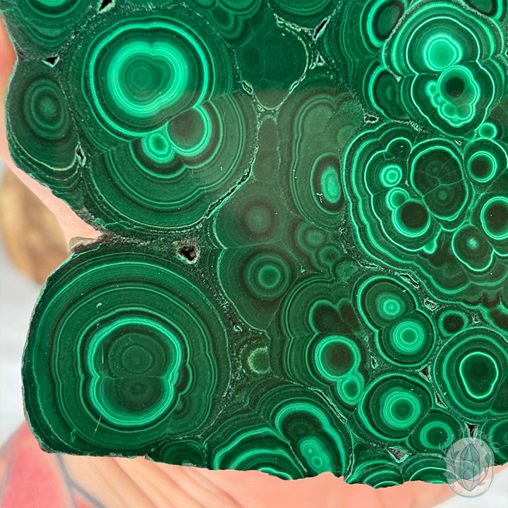 Polished Raw Malachite Slab with Display Stand