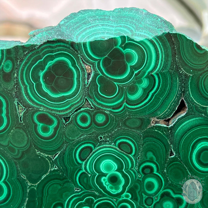 Polished Raw Malachite Slab with Display Stand