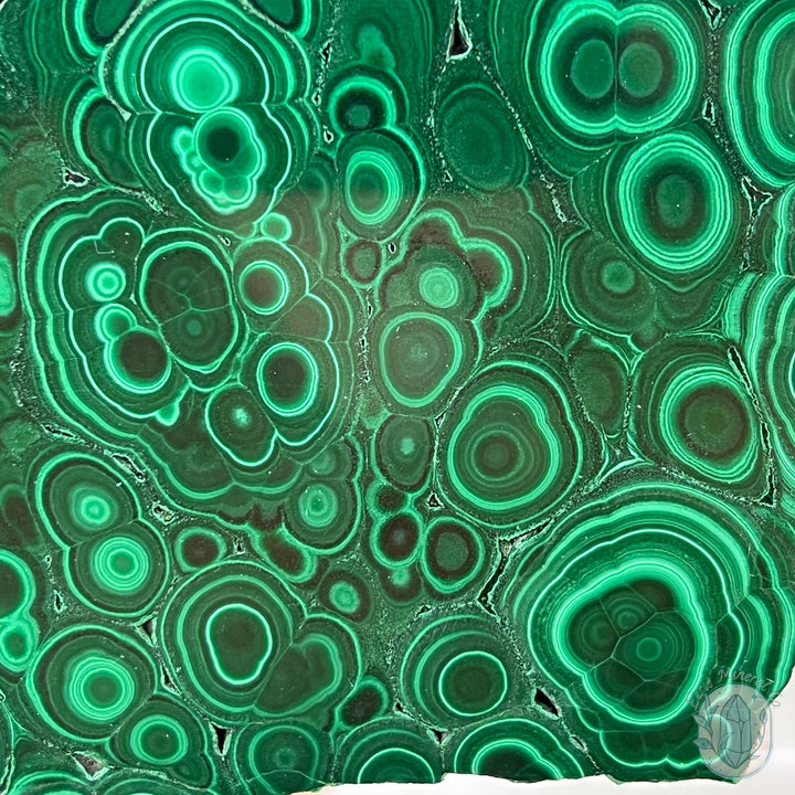 Polished Raw Malachite Slab with Display Stand