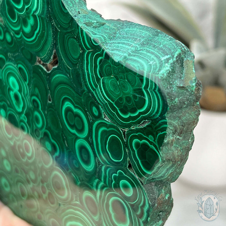 Polished Raw Malachite Slab with Display Stand