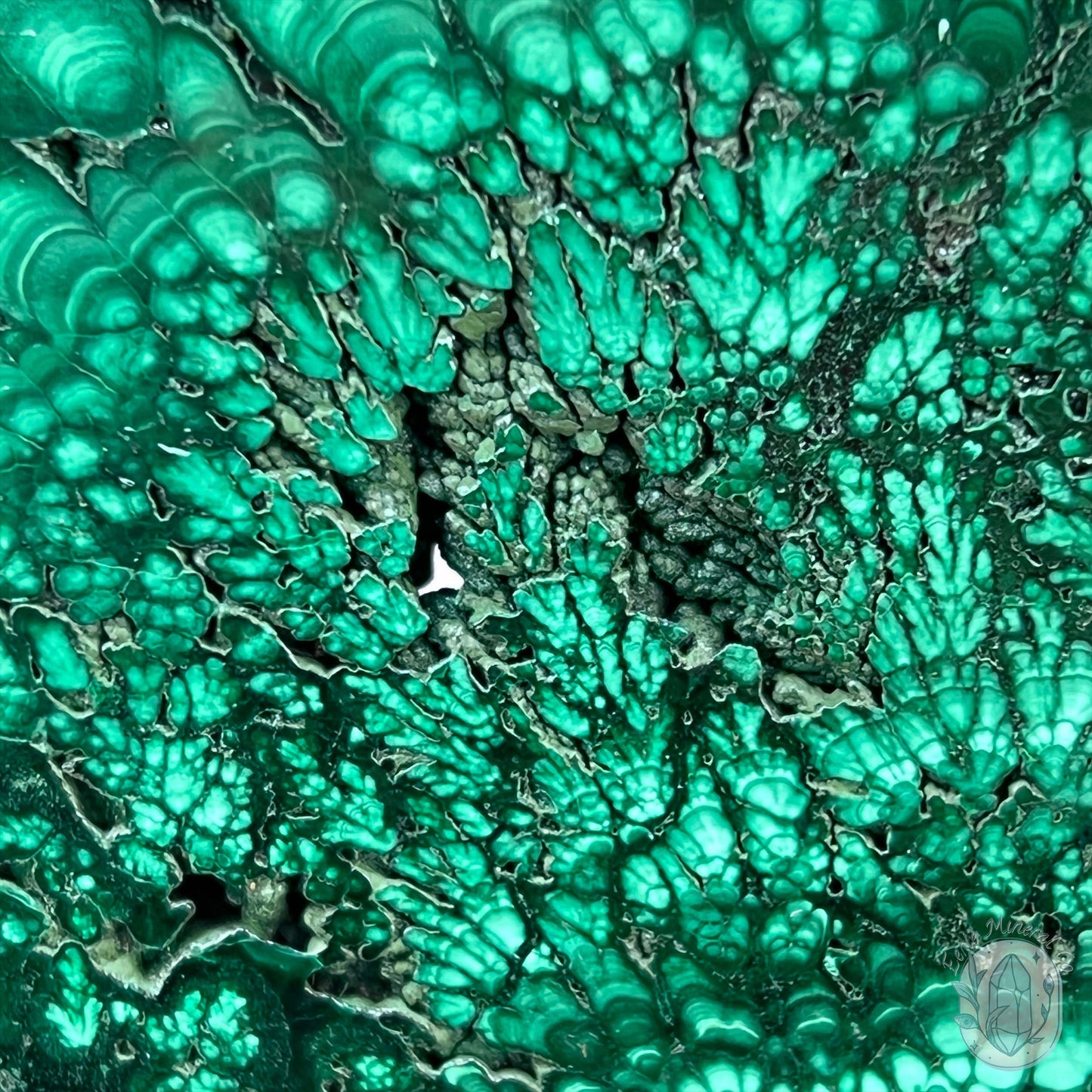 High Quality Polished Malachite Slab with Display Stand