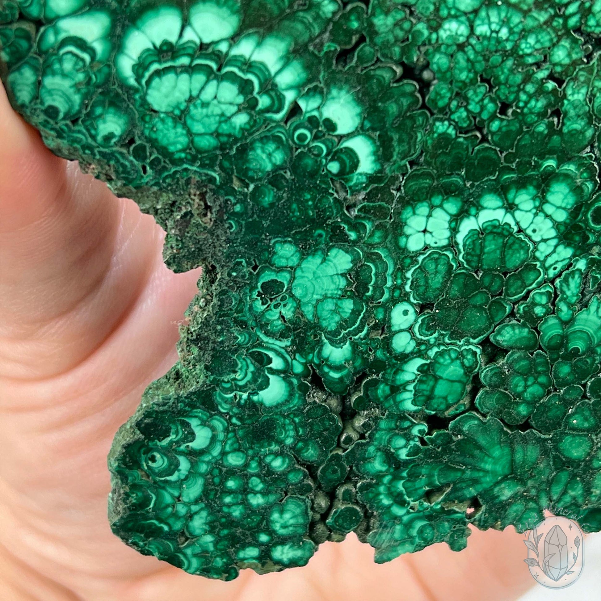 High Quality Polished Malachite Slab with Display Stand