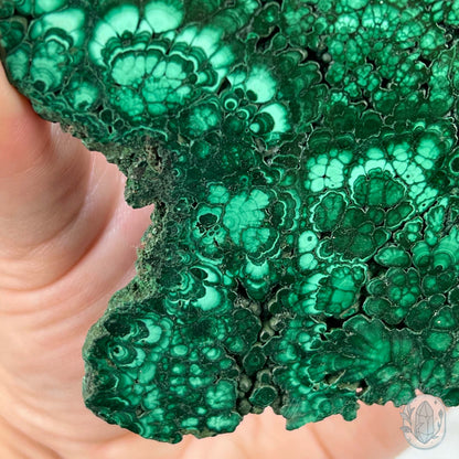 High Quality Polished Malachite Slab with Display Stand