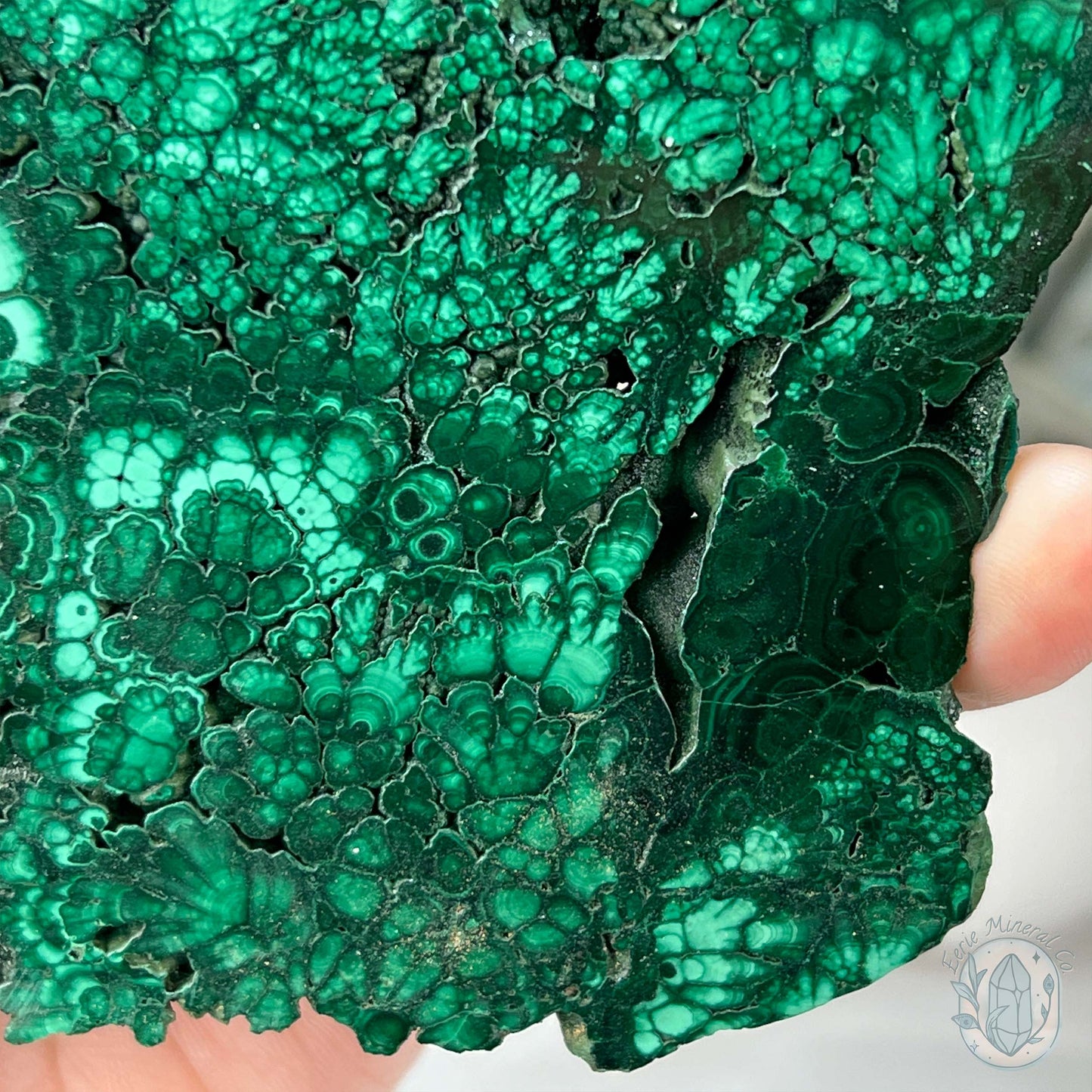 High Quality Polished Malachite Slab with Display Stand