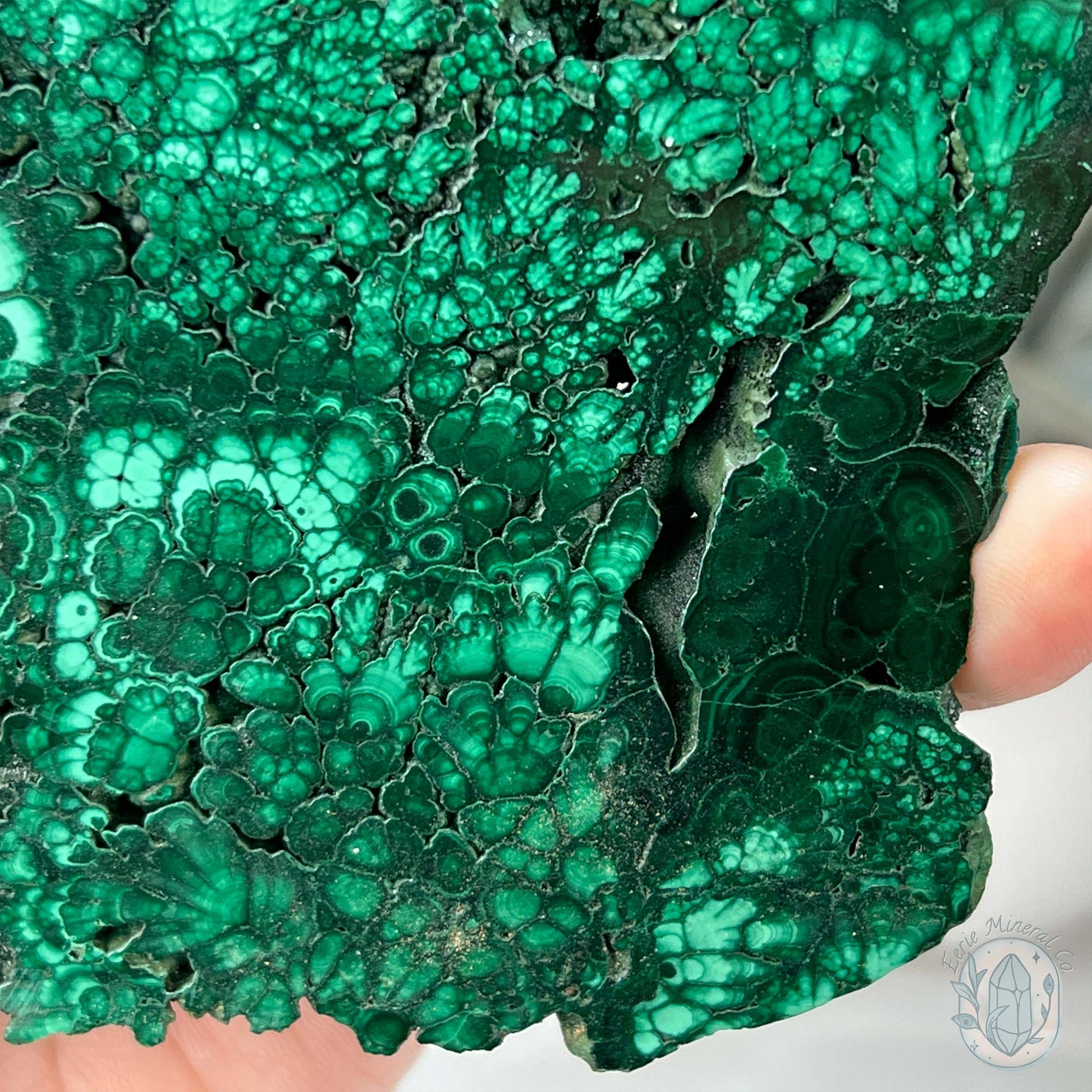 High Quality Polished Malachite Slab with Display Stand