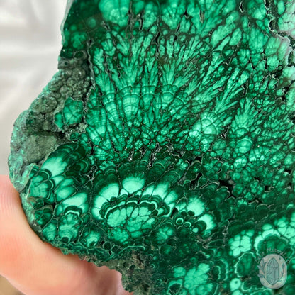 High Quality Polished Malachite Slab with Display Stand